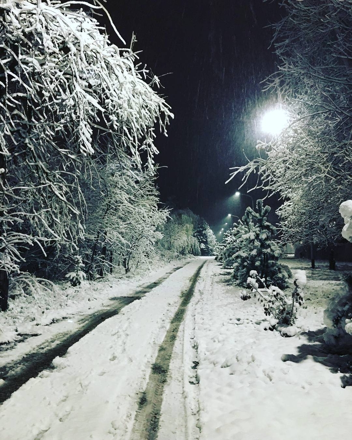 Winter