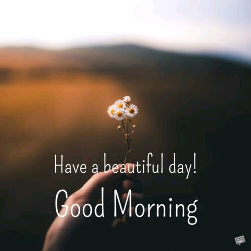 good morning