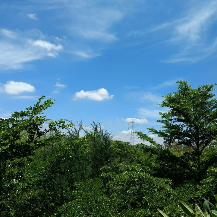 sky