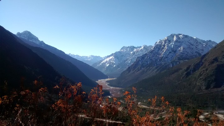 Yumthang valley
