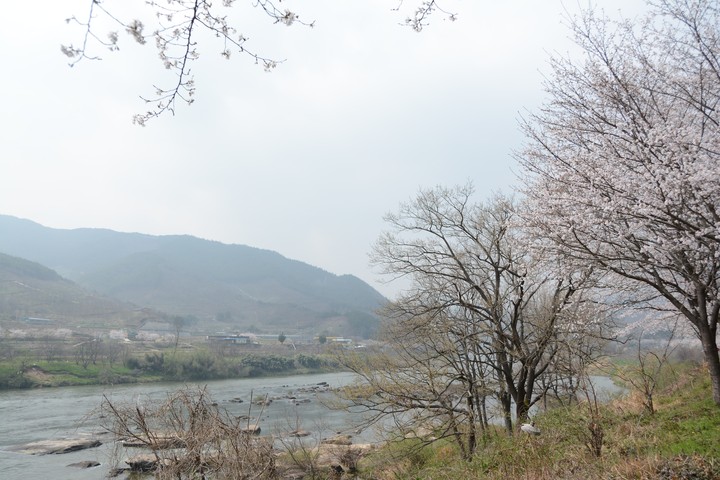 풍경이미지