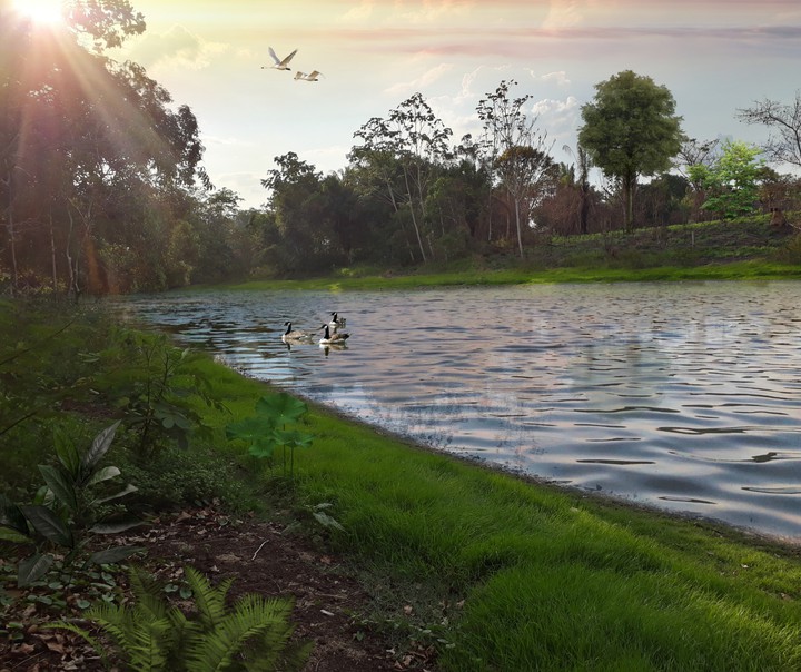 Lagoa