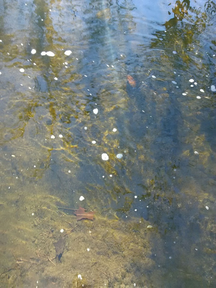 Water