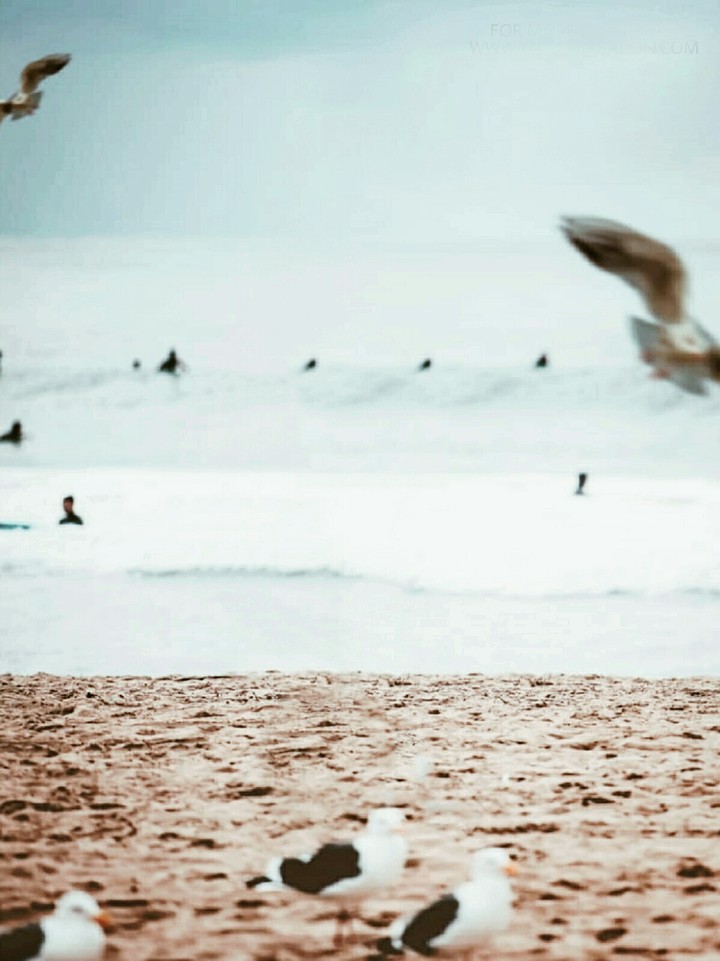 sea beach