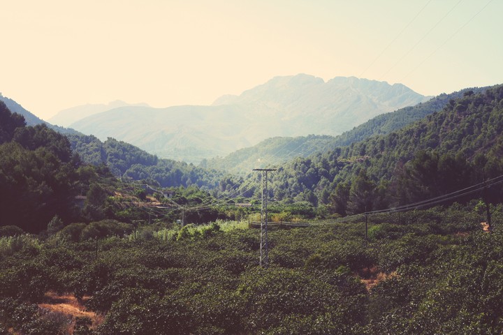 nature