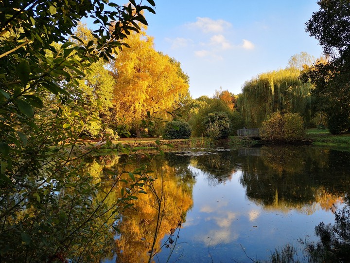 colourfull autumn