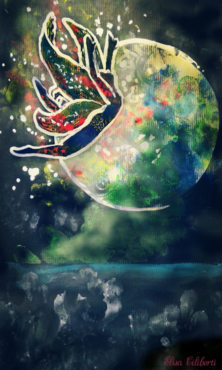 Magic night