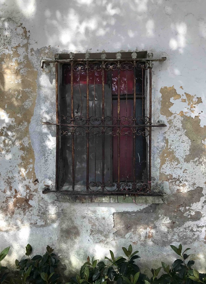 Abandoned Window