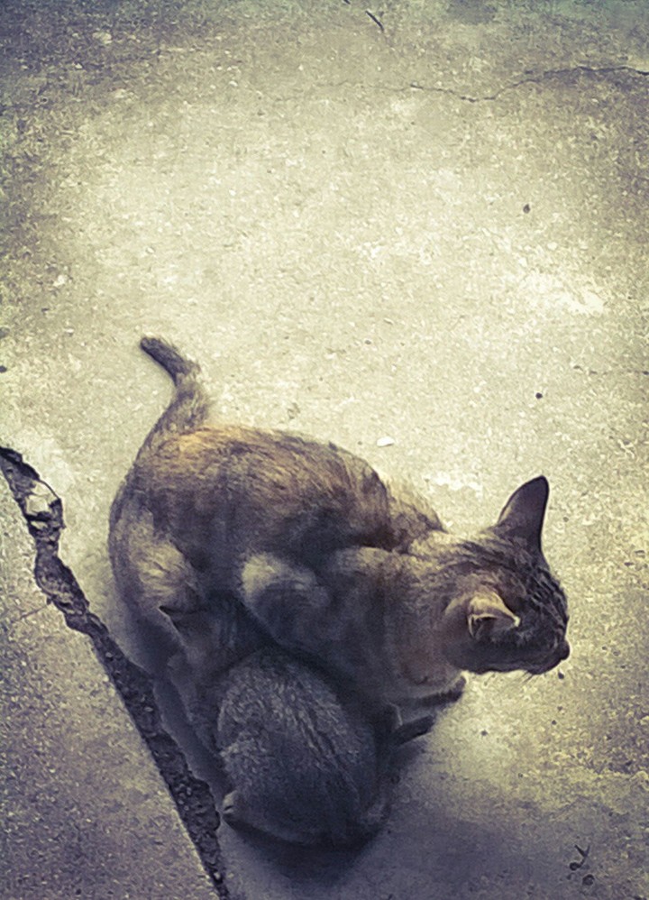 mother with her child