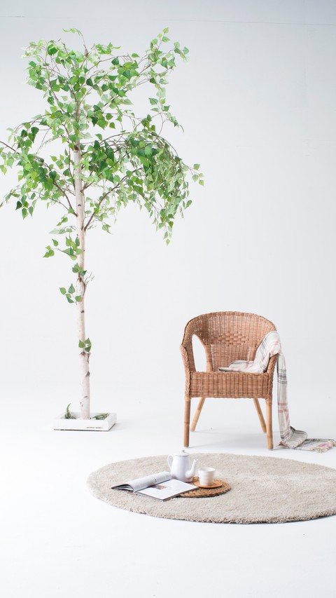 White room