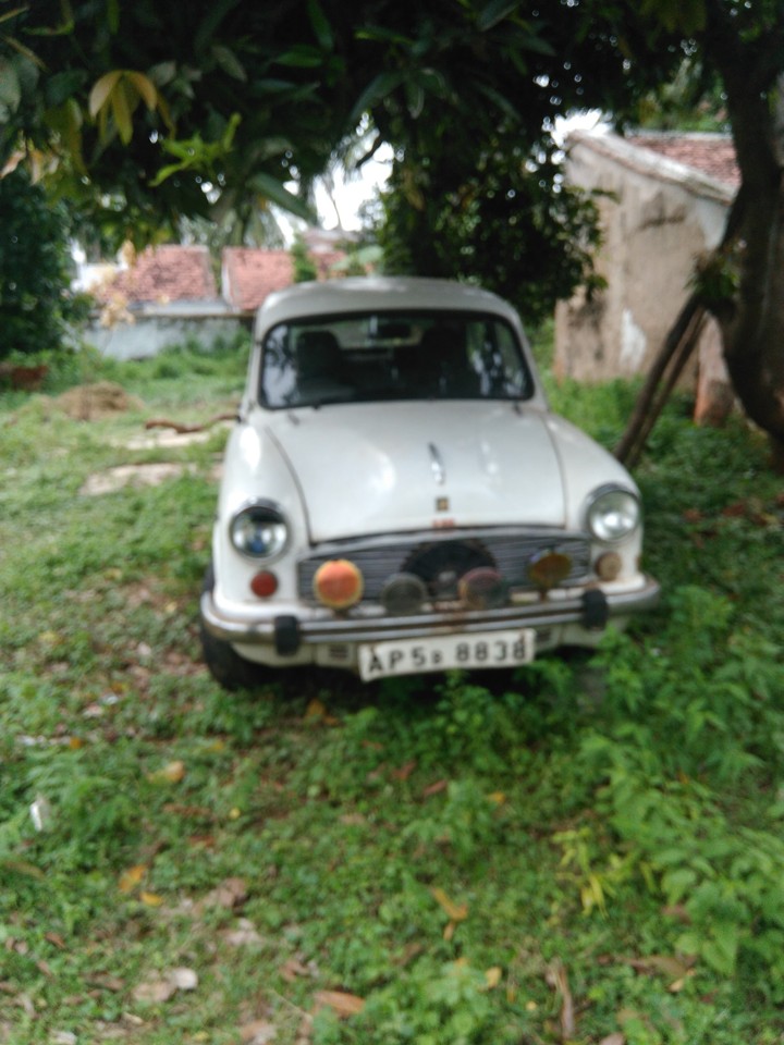 my dad's dream car