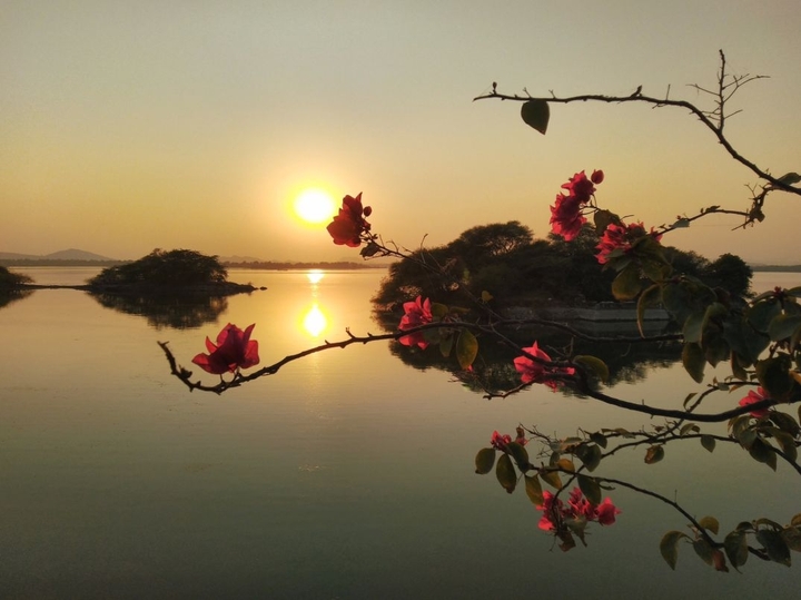simple click this sunset
