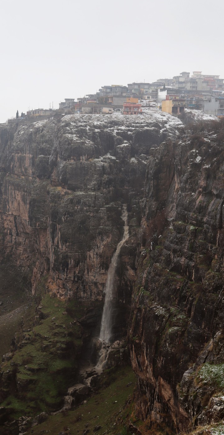 Suicide Valley