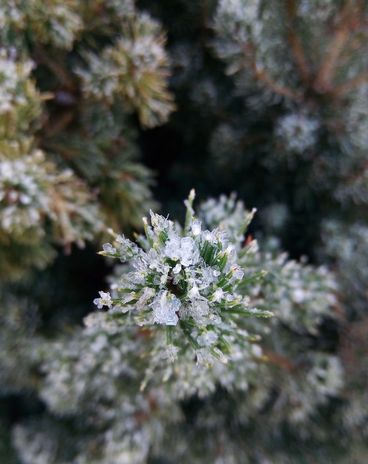 snow