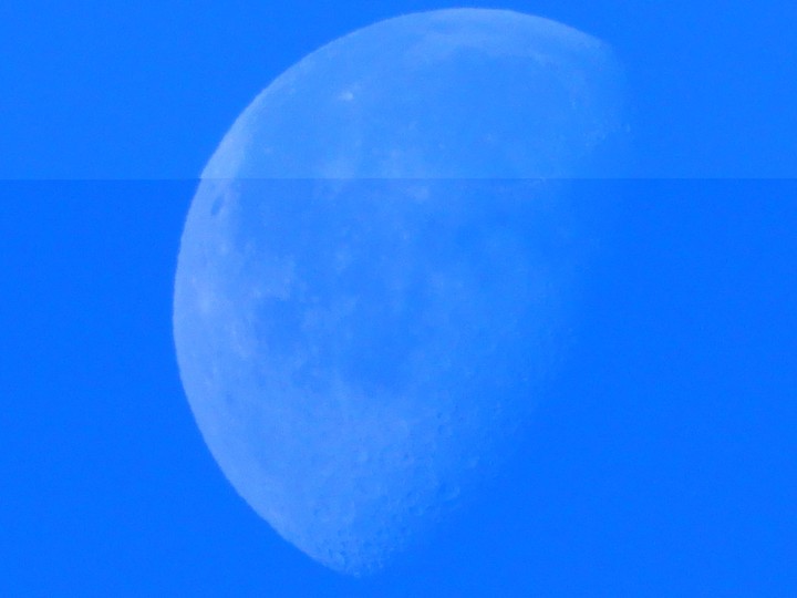 morning moon