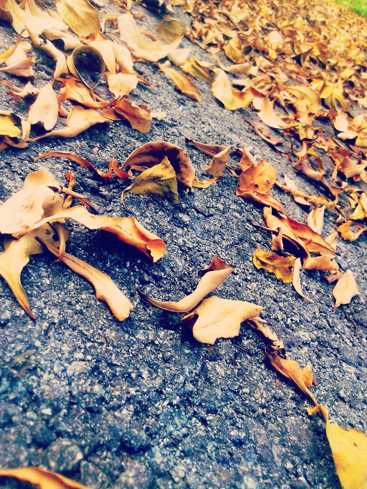 Fall...