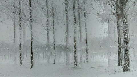 winter