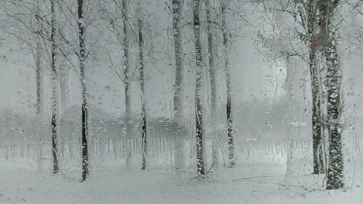 winter