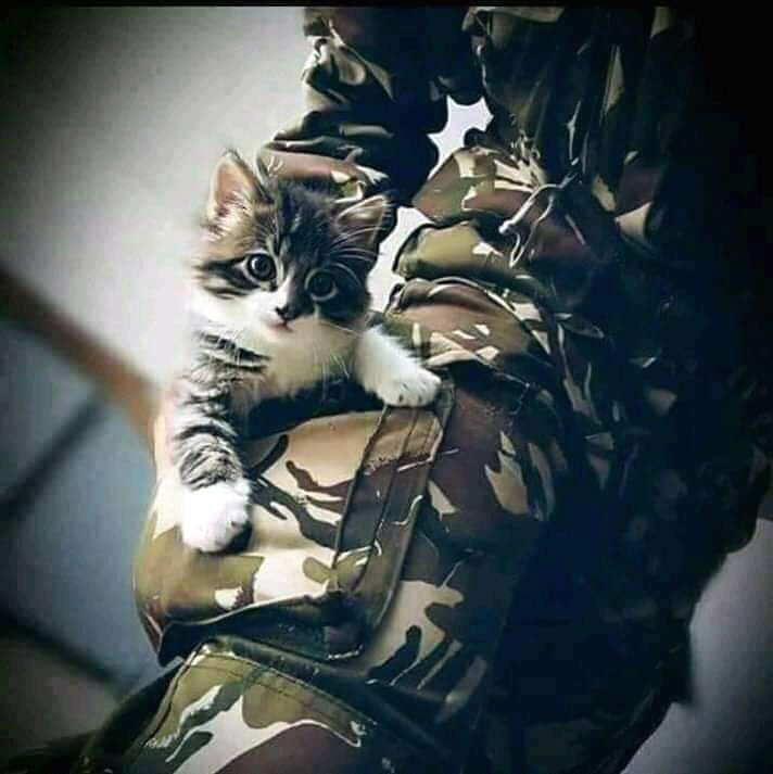 ""