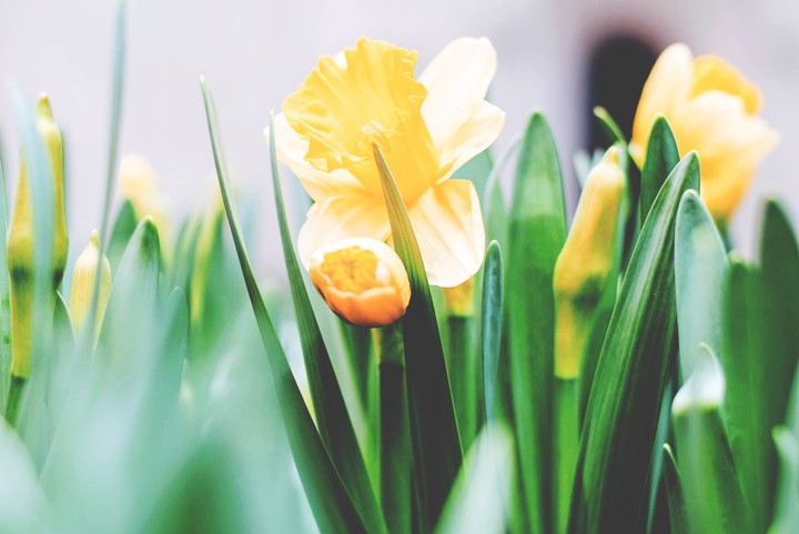 how lovely yellow is