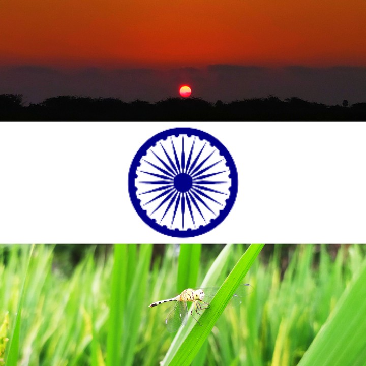 Nature of india