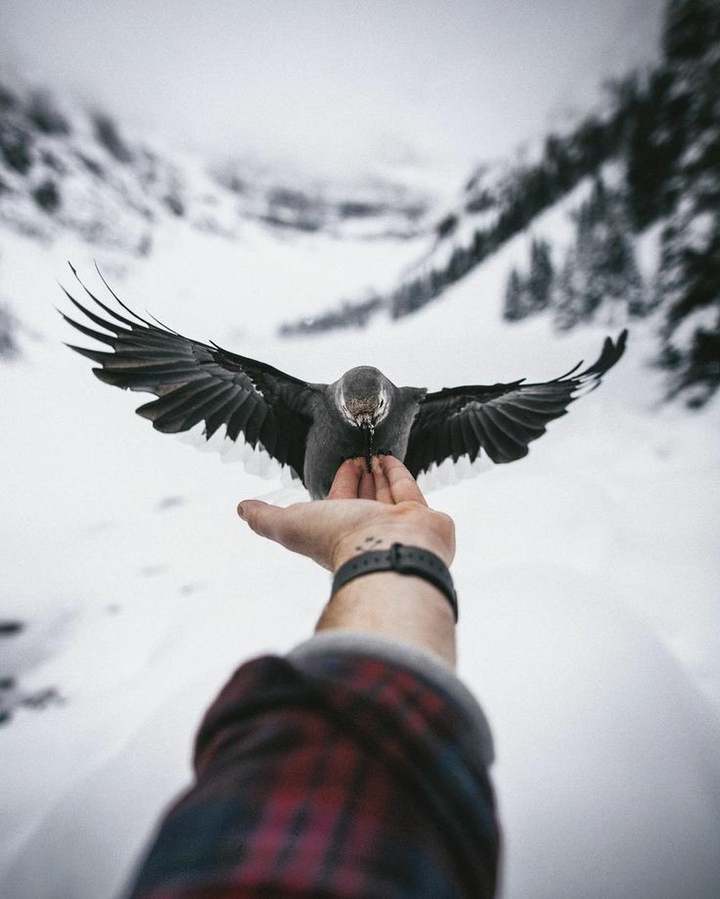 Kindness To Birds...❣️