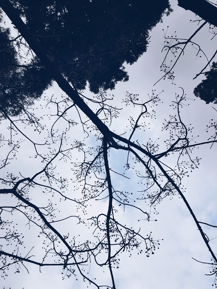 my sky is always blue...