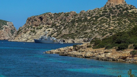 Argelia