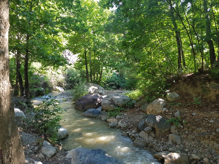 nature
