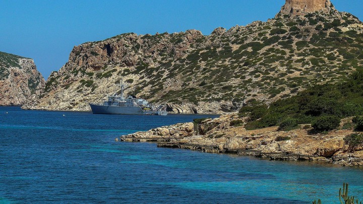 Argelia