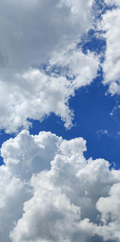 Cumulus, tree वॉलपेपर
