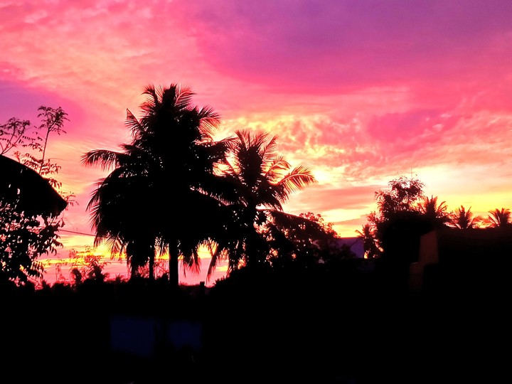 sunrise in morning ...........