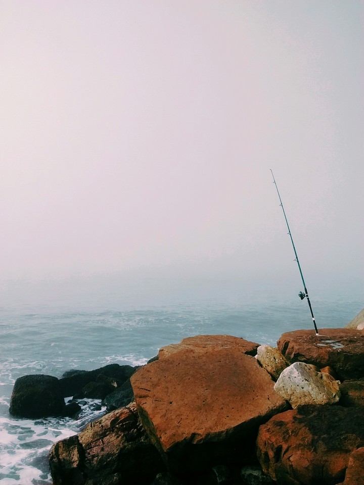 Niebla en Mar del Plata