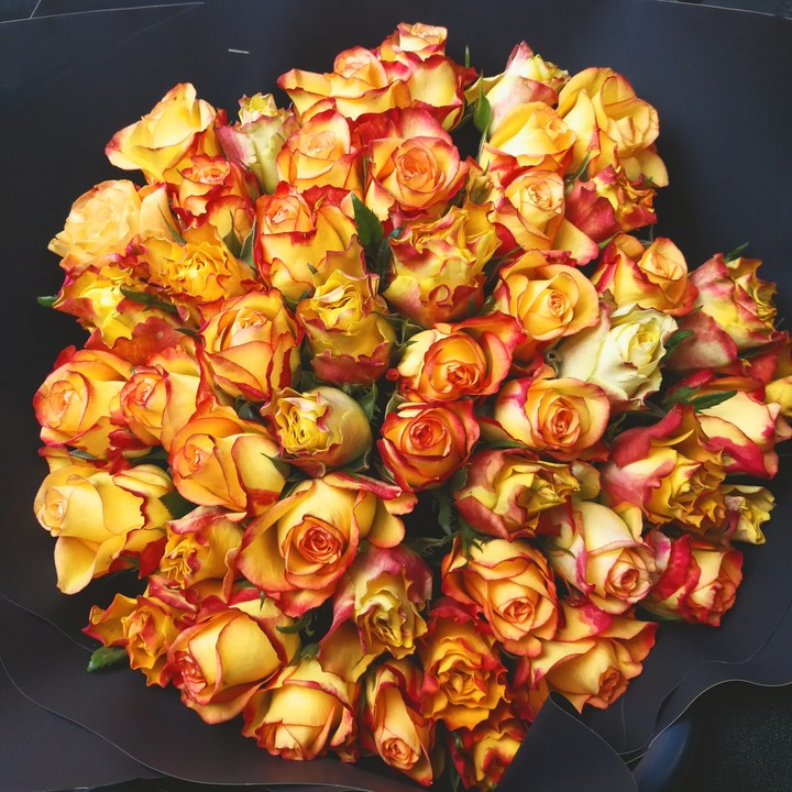 roses