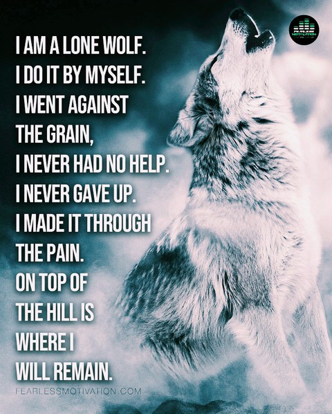 wolf