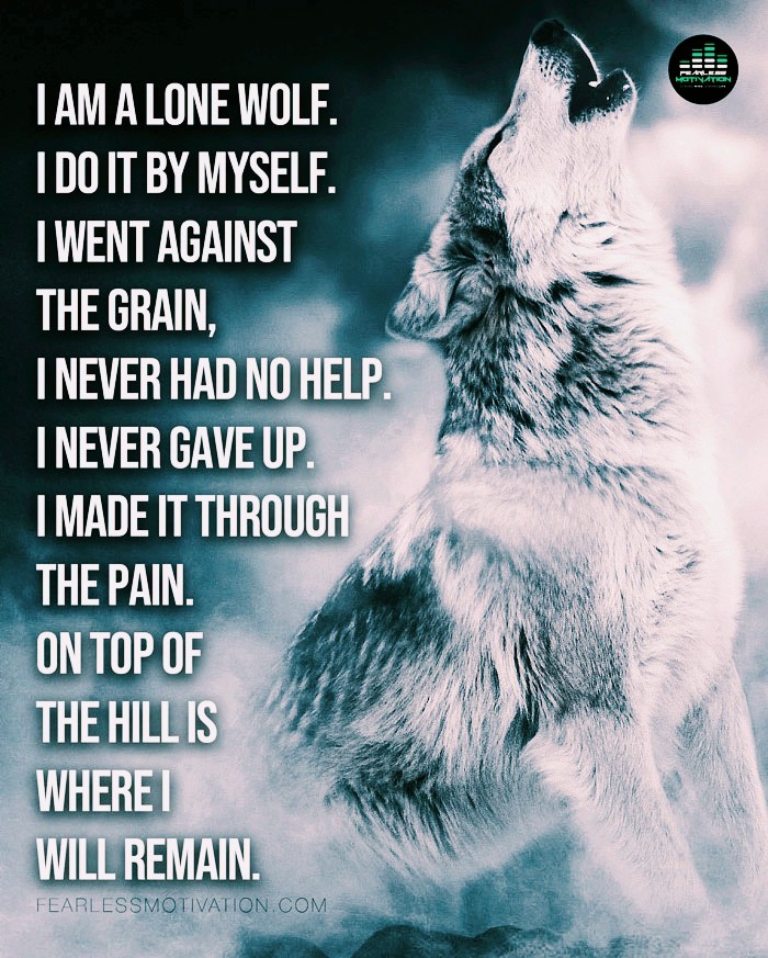 wolf