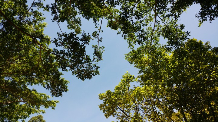 sky