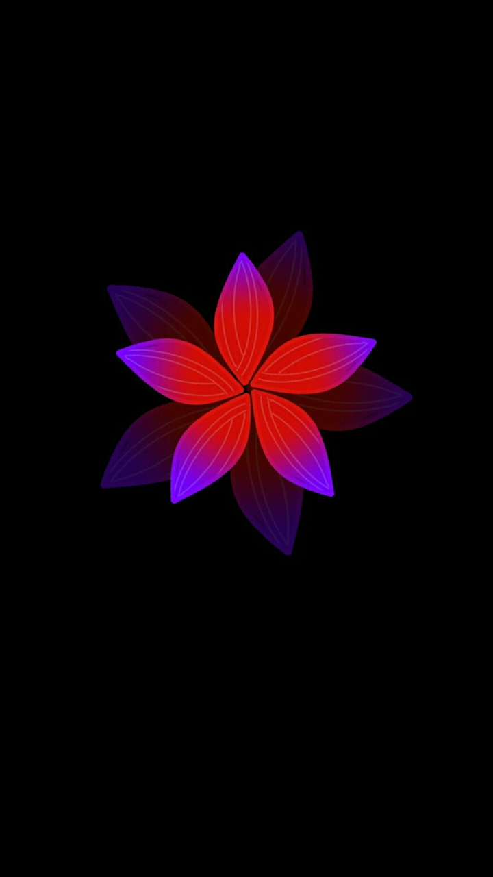 Artistic flowers 224