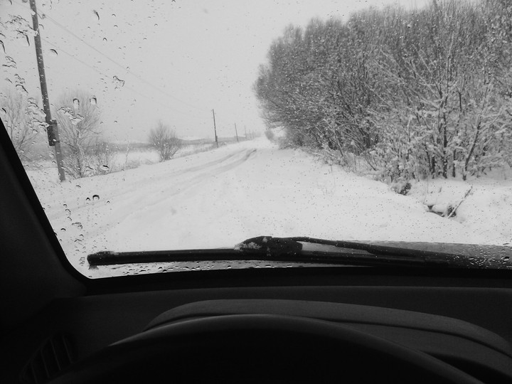 Winter