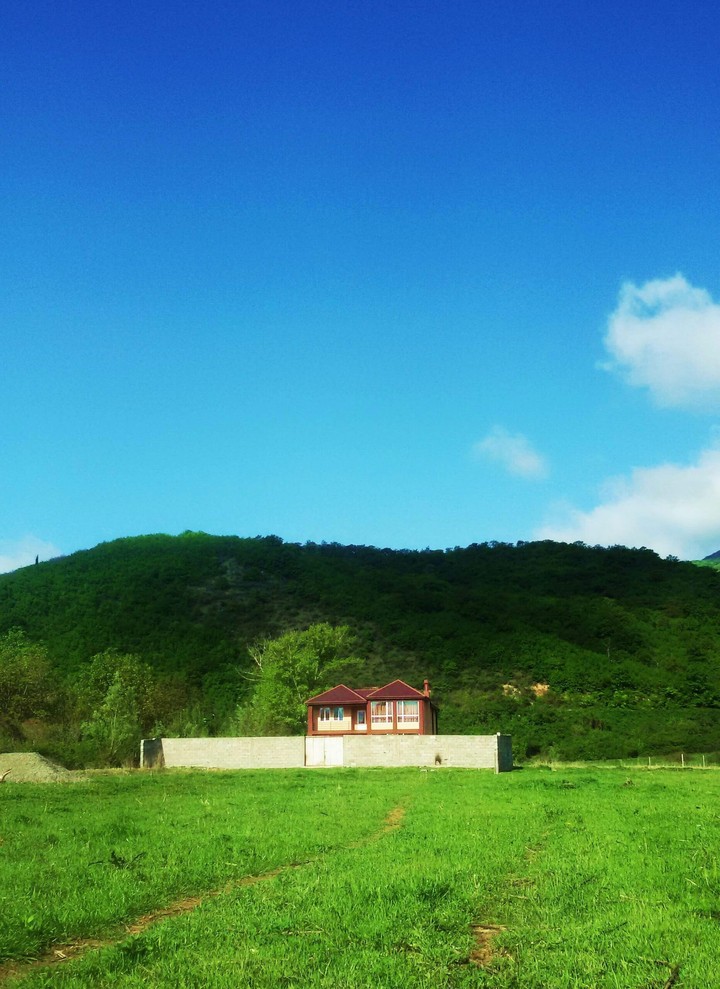 georgia