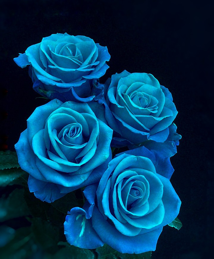 For you ❤️