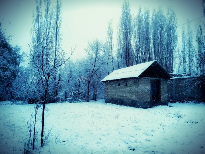beautiful house 