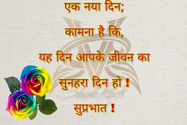 Good morning #Shahrock