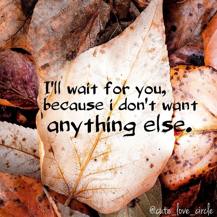 love qoutes