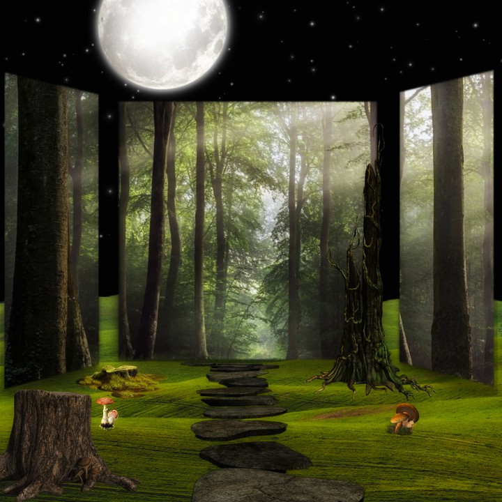 3d effect forest