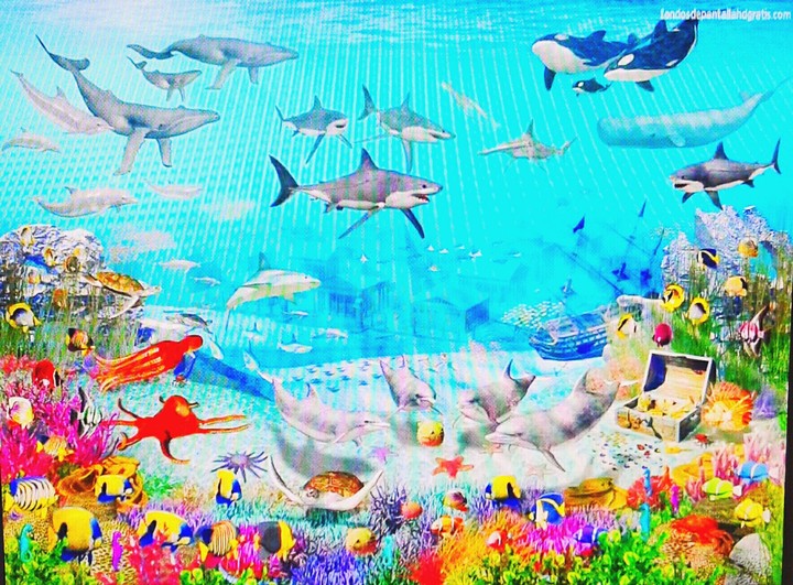 Arrecife de coral