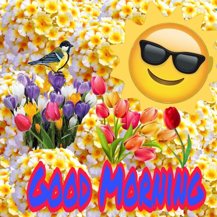 good Morning