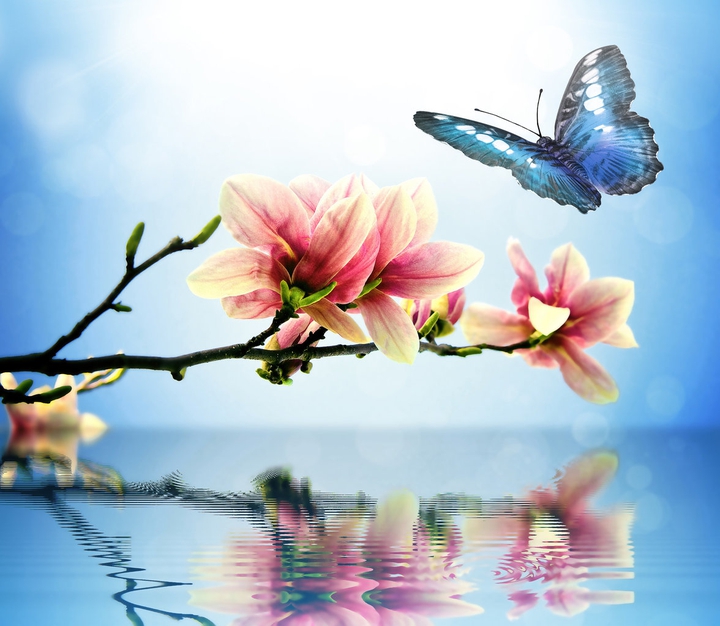 A Zen Picture