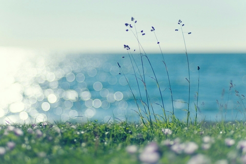 spring brease