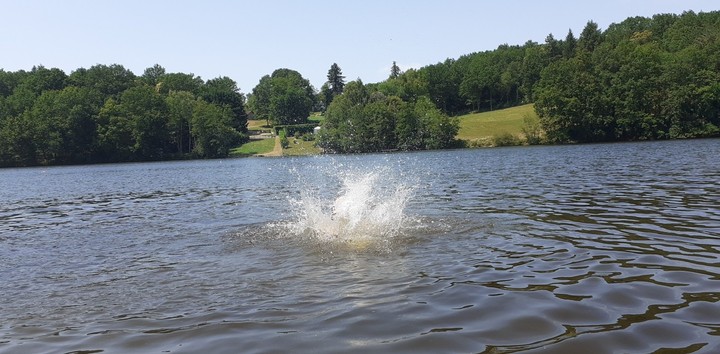 lac ?